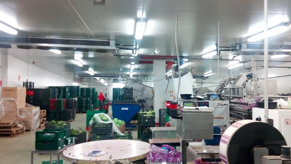 Interior de una nave logística con cobertura móvil en Mercabarna